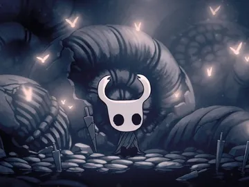 Hollow Knight Hollow Knight