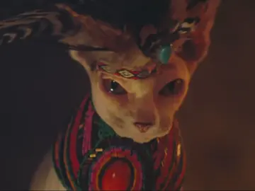 Shadow of the Cute Raider Shadow of the Cute Raider