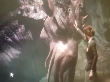 Harry Potter Harry Potter