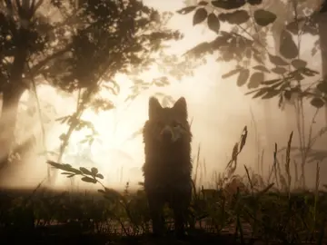 Red Dead Redemption 2 Red Dead Redemption 2