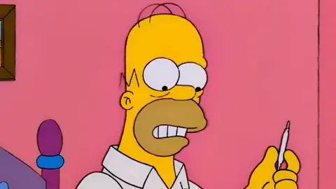 Homer Simpson Homer Simpson