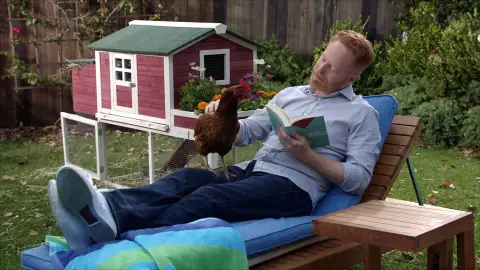 La gallina 'gallenifer' Modern family