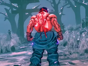 Street Fighter V Street Fighter V