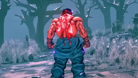 Street Fighter V Street Fighter V
