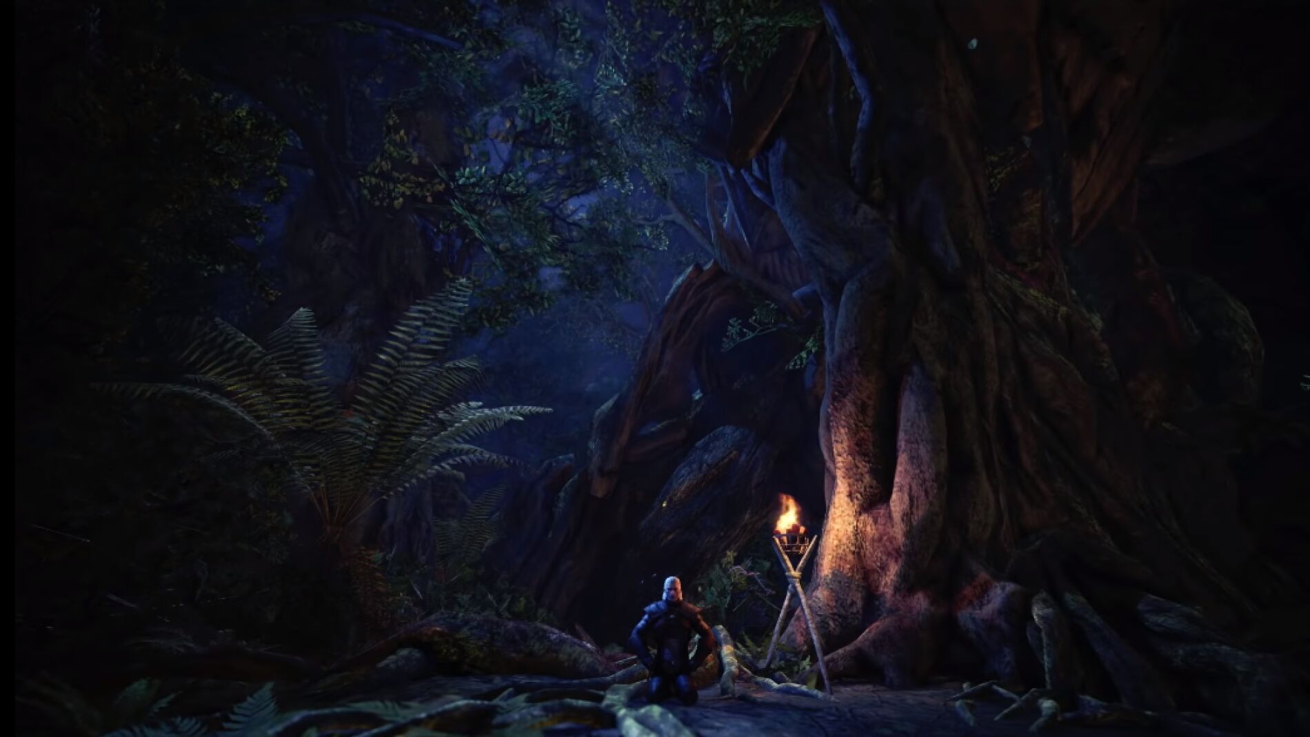 The Witcher en Monster Hunter World