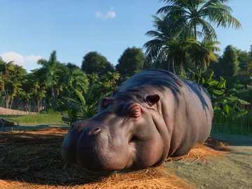 Planet Zoo Planet Zoo
