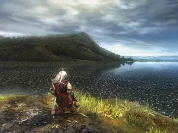 The Witcher The Witcher