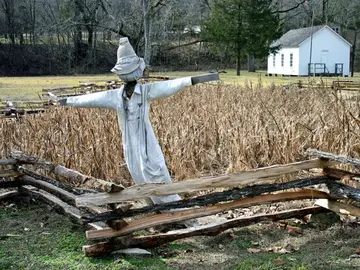 Espantapájaros Espantapájaros