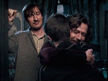 Remus Lupin, Sirius Black y Harry Potter
