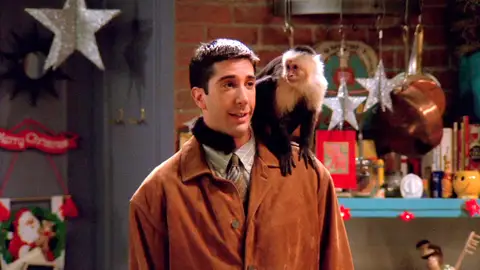 Ross presenta a su mono Marcel momento destacado