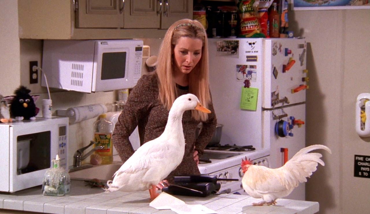 ¿Te acuerdas de los animales que salieron en 'Friends'?