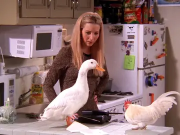 ¿Te acuerdas de los animales que salieron en 'Friends'? ¿Te acuerdas de los animales que salieron en 'Friends'?