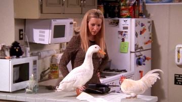 ¿Te acuerdas de los animales que salieron en 'Friends'? ¿Te acuerdas de los animales que salieron en 'Friends'?