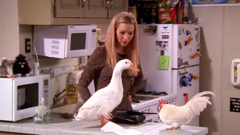 ¿Te acuerdas de los animales que salieron en 'Friends'? momento destacado