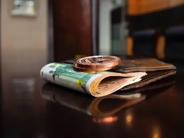 Cartera con dinero Cartera con dinero