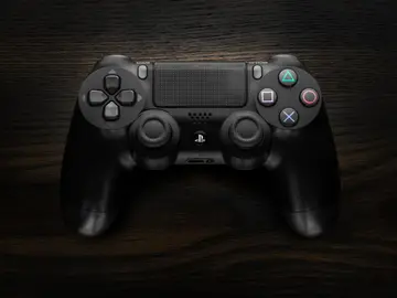 DualShock DualShock