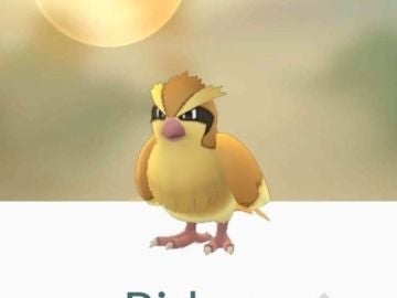 Pokémon Pidgey