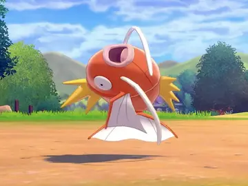 Pokémon Magikarp Pokémon Magikarp