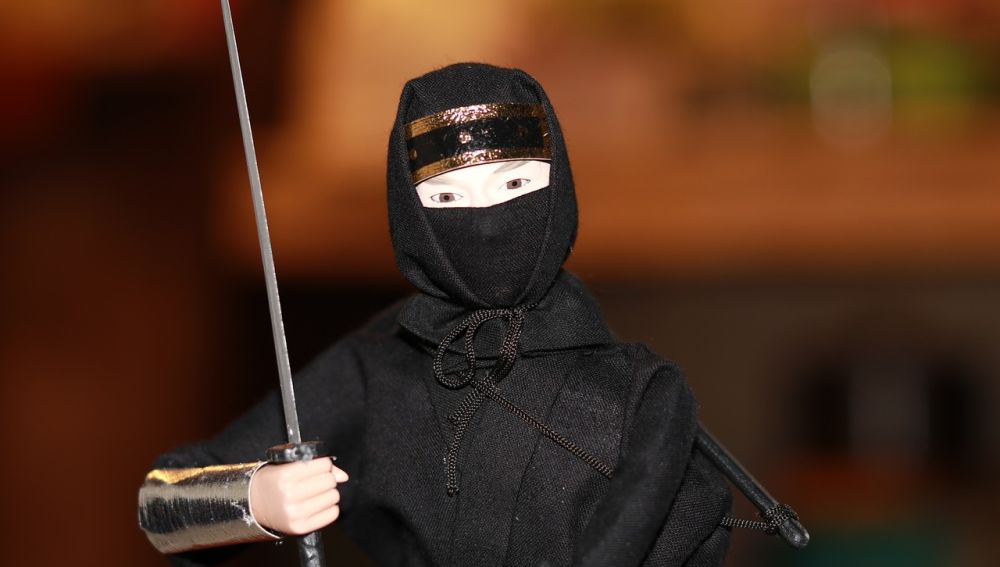 Ninja