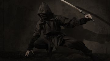 Ninja Ninja