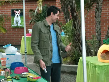 Las camas para perros de Jay sólo gustan a los gatos Las camas para perros de Jay sólo gustan a los gatos