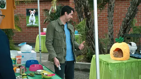 Las camas para perros de Jay sólo gustan a los gatos momento destacado