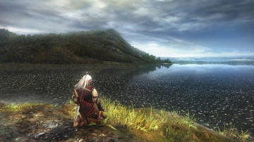 The Witcher The Witcher