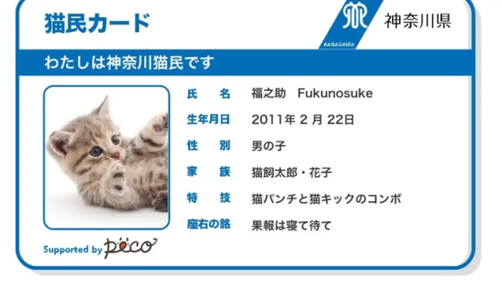 Tarjeta para gatos japonesa