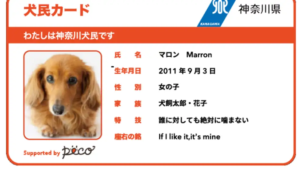 Tarjeta para perro japonesa