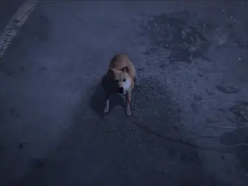 Project G.G. Project G.G.