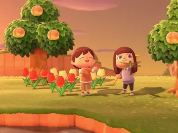 Animal Crossing: New Horizons Animal Crossing: New Horizons