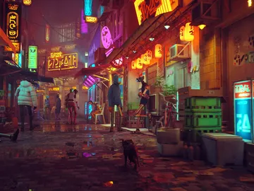 Stray Stray