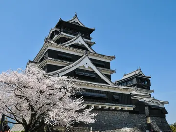 Castillo japonés Castillo japonés
