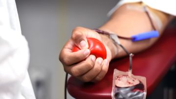 Donación de Sangre