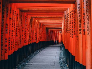 Arcos Tori en Kioto 