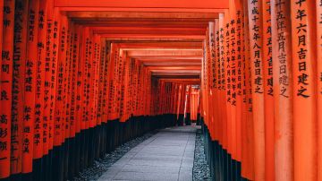Arcos Tori en Kioto