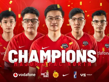 VodafoneGiants VodafoneGiants