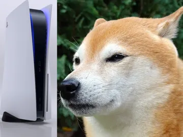 PS5 y Shiba Inu PS5 y Shiba Inu
