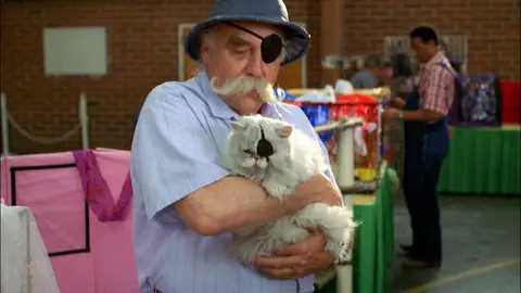 Earl robó un gato Me llamo Earl