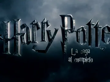 Harry Potter Harry Potter