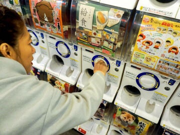 Turista jugando a la máquina expendedora de gashapong