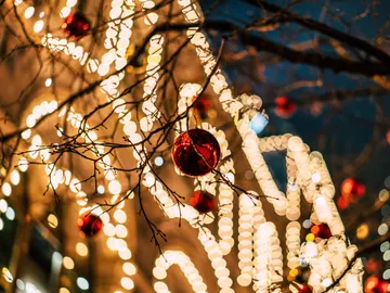 El Grinch existe: Un hombre enmascarado cansado del espíritu navideño roba las luces de Navidad El Grinch existe: Un hombre enmascarado cansado del espíritu navideño roba las luces de Navidad
