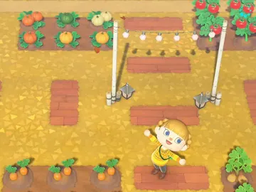 Animal Crossing New Horizons Animal Crossing New Horizons