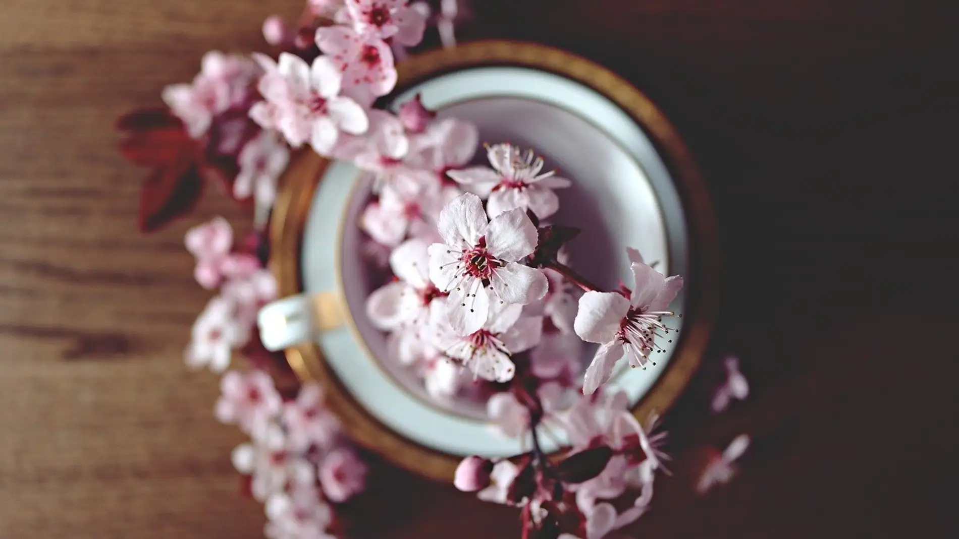 Sakura y Yohiro: La historia de amor que explica el nacimiento de la flor  de cerezo