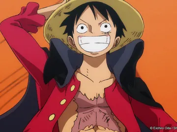 One Piece One Piece