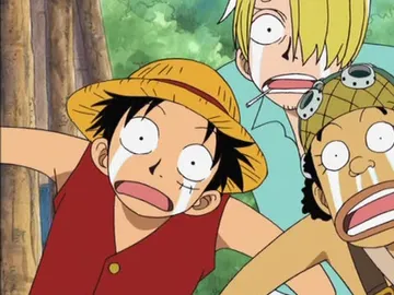 One Piece One Piece