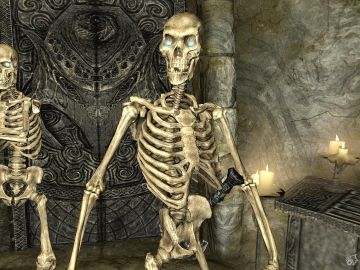 Esqueleto Skyrim 