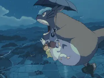 Mi Vecino Totoro Mi Vecino Totoro