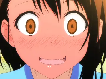 Nisekoi Nisekoi