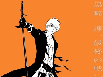Bleach TYBW Bleach TYBW